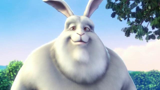 HPPVqMQyJ6A
